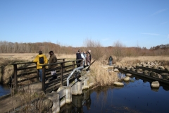 Fischtreppe in Kirch Rosin