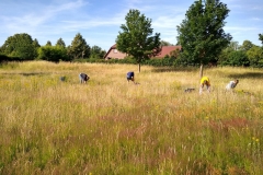 Bei der Arbeit