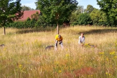 Natur pur und das bei fast 30 Grad!
